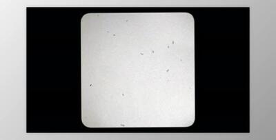 Reel Clutter Old film tape frame (Videohive 31653616)