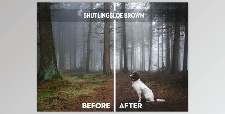 Nigel Danson Lightroom Presets