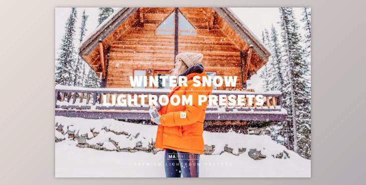 10 WINTER SNOW Lightroom Presets