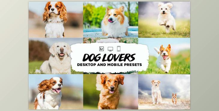 Dog Lovers Lightroom Presets CreativeMarket-5953302 (DNG)