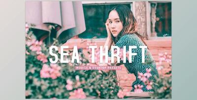 Sea Thrift Pro Lightroom Presets CreativeMarket - 7193792
