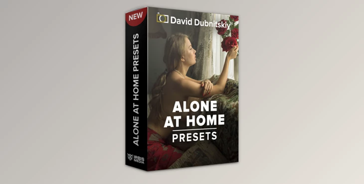 18 Alone at Home Presets by David Dubnitskiy (XMP)