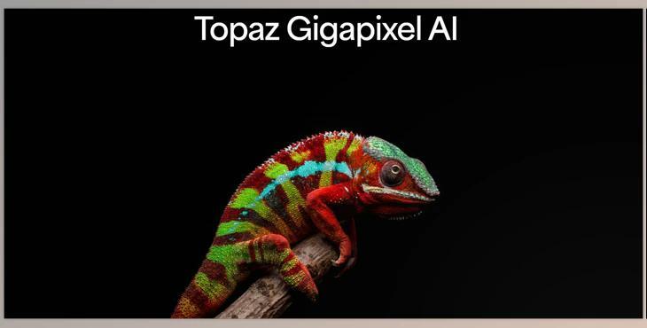 Topaz Gigapixel AI v8.3.4 (Win, Mac-v8.3.3)