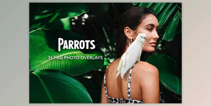 35 Parrots Photo Overlays GraphicRiver - 34817800