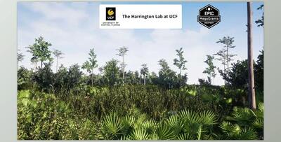 Unreal engine - Mesic Flatwoods Habitat v5.3