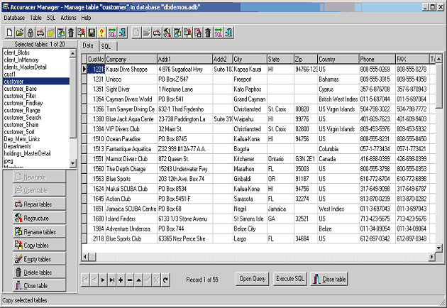 Accuracer v17.00 MultiUser + Full Source