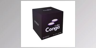 RealBox Conga Quinto and Tumba v1.0