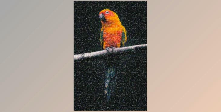 Artistic Dots Photo Template – GraphicRiver 33529110 (PSD, JPG)