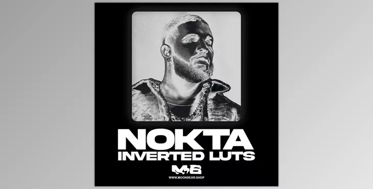 MoonBear – NOKTA Inverted Luts & Filters