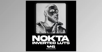 MoonBear – NOKTA Inverted Luts & Filters