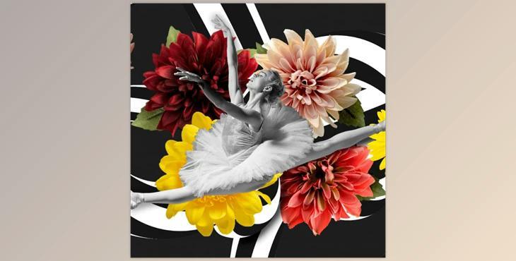 Xara Photo & Graphic Designer+ v24.5.1.70738 (Win)