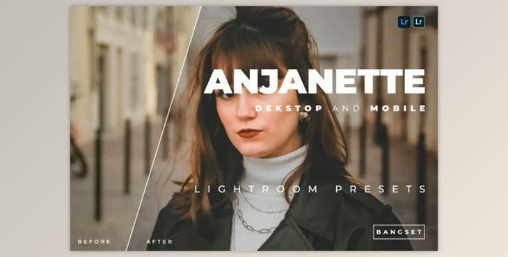 Anjanette Desktop and Mobile Lightroom Preset by Bangset