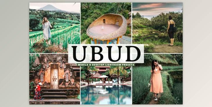 Ubud Mobile & Desktop Lightroom Presets by creativetacos