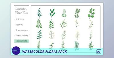 Watercolor Flower Pack (Videohive 33428736) - AE Project
