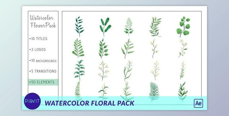 Watercolor Flower Pack (Videohive 33428736) - AE Project