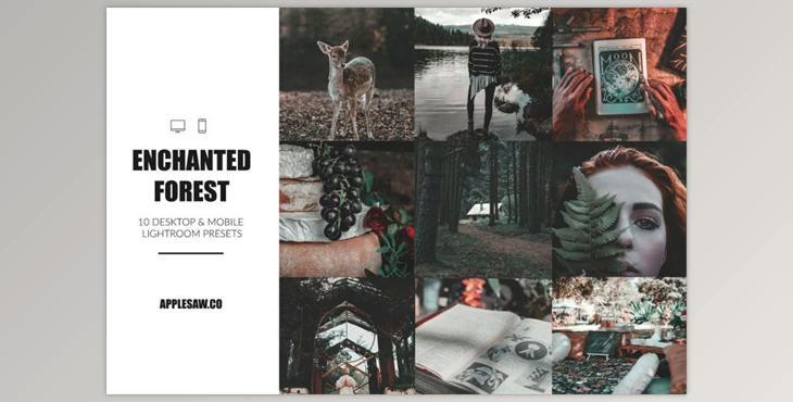 Enchanted Forest Lightroom Presets CreativeMarket-4957995