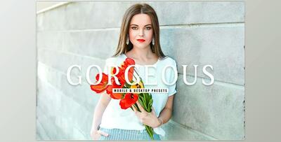 Gorgeous Pro Lightroom Presets CreativeMarket - 6812648