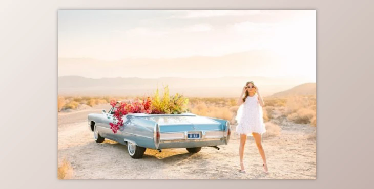 The Mary Costa Collection – Kindred Presets + Main and best Collection