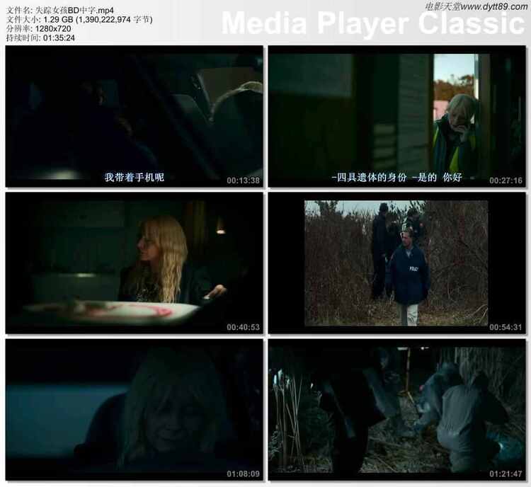 2020年美国6.1分悬疑惊悚片《失踪女孩》BD中字