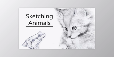 Sketching Animal Portraits – 5 Exercises to Help you ‘See Like an Artist’