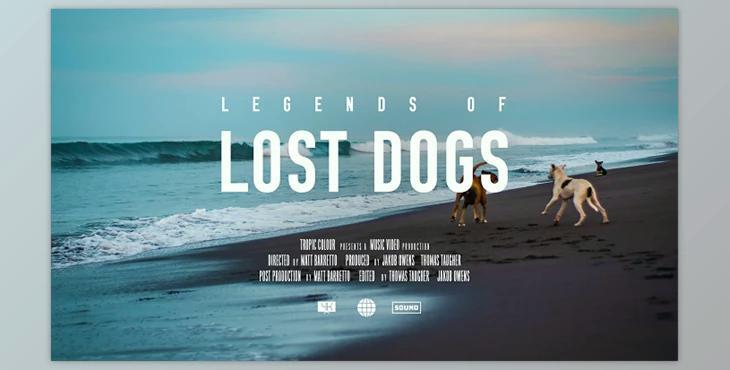 Tropic Colour – Film Title Presets