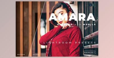 Amara Desktop and Mobile Lightroom Preset by Bangset