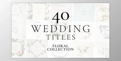 Wedding Titles (Videohive 37071913) - AE Project