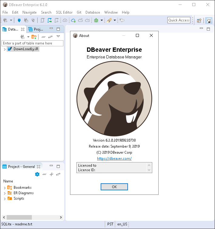 DBeaver Ultimate 25.1 Win/macOS/Linux