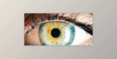 Creative Advertising & Graphic Design Theories for Beginners