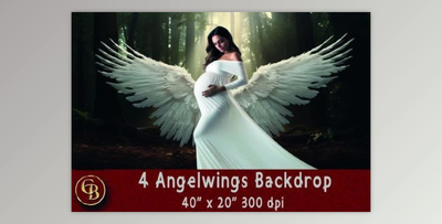 4 Angelwings Backdrops 40×20″ 300dpi