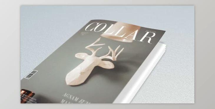 Book and Magazine Promo (Videohive 21314752) - AE Project