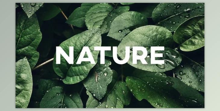 Typography Slides (Videohive 37691305) - AE Project