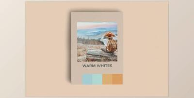 WARM WHITES FILM MOBILE LIGHTROOM PR CreativeMarket-5924721 (DNG)