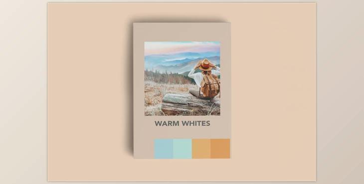 WARM WHITES FILM MOBILE LIGHTROOM PR CreativeMarket-5924721 (DNG)