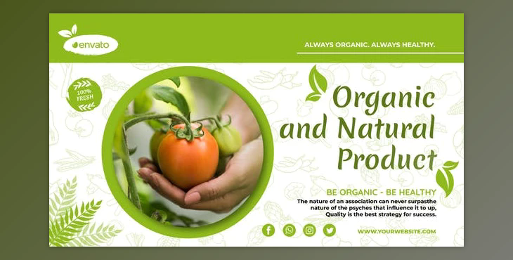 Organic Food Promo (Videohive 39429146) - AE Project
