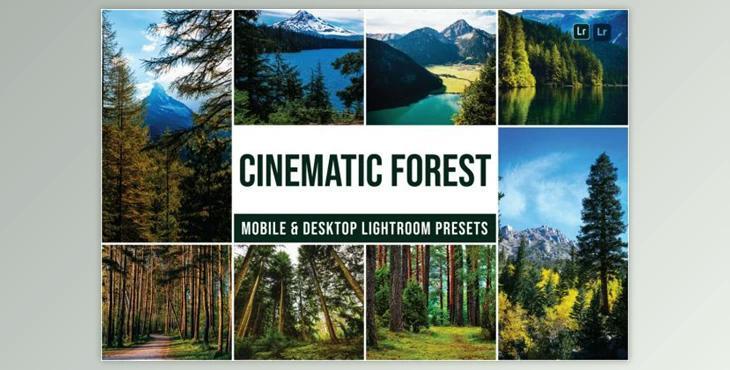 Forest Mobile and Desktop Lightroom Presets by Laksmitagraphics
