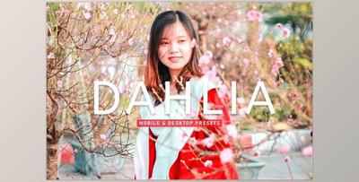 Dahlia Pro Lightroom Presets CreativeMarket - 6929653