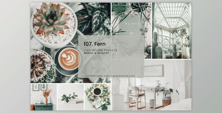 107. Fern Presets By Advina Store (Mob, Desk)