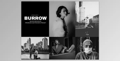 Burrow Lightroom’s Presets