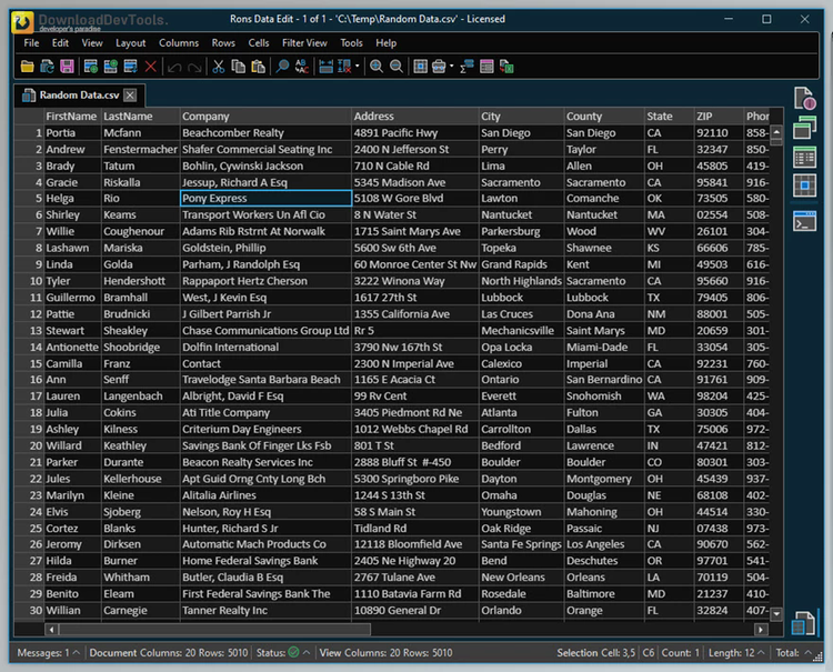 Rons Data Edit Pro v2024.12.18.1341 + Portable Edition + CRACK