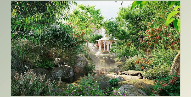 Globe Plants – Bundle 36 – Indian Plants