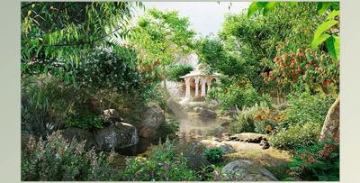 Globe Plants – Bundle 36 – Indian Plants