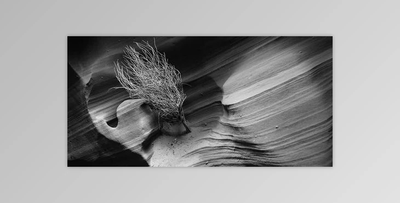 CreativeLive – Creating and Maintaining a Useful Digital Portfolio