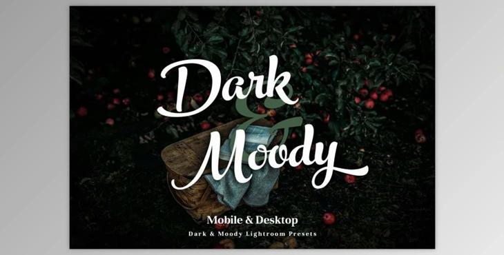 Dark & Moody Lightroom Presets CreativeMarket 2967965