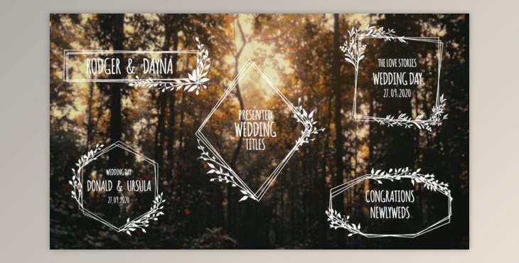 Wedding Titles (Videohive 33221968) - PR Project