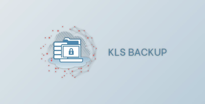 KLS Backup Professional 2025 v14.0.2.6 for Win x86 & x64 + Portable Edition + CRACK