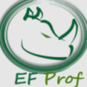 Entity Framework Profiler 6.0 Build 6040