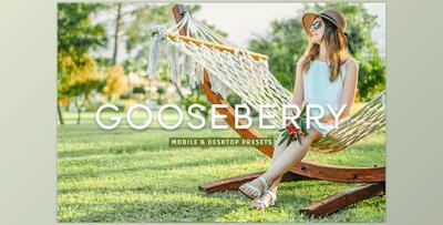 Gooseberry Pro Lightroom Presets CreativeMarket - 7403892