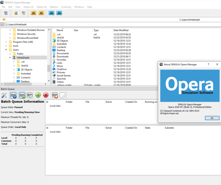 DS SIMULIA CST STUDIO SUITE 2025 SP2 x64 / 2022 Linux