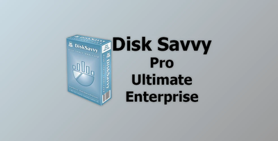 Disk Savvy Pro / Ultimate / Enterprise v17.3.14 + Activator